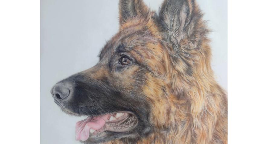 Win a commissioned portrait of your pet worth £800