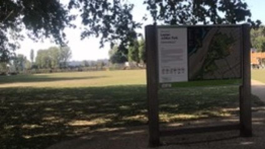 Free outdoor fitness in a park in Leyton