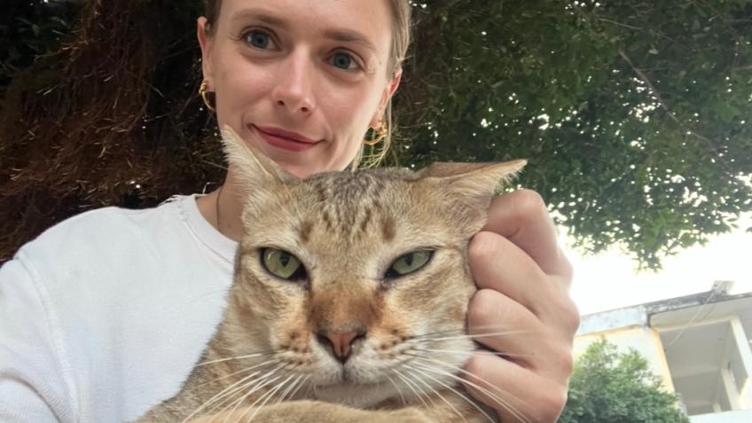 Support Street Cats in Cambodia