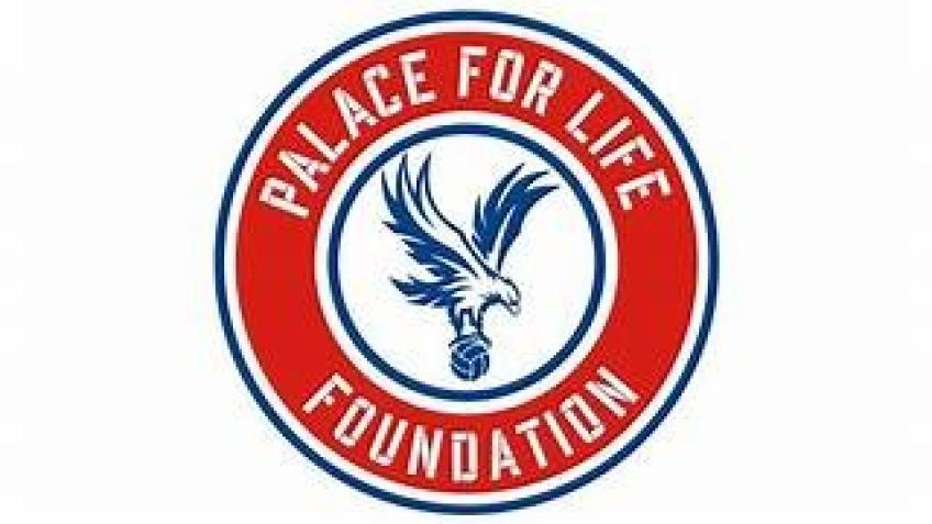 Palace for Life Foundation x Walk92