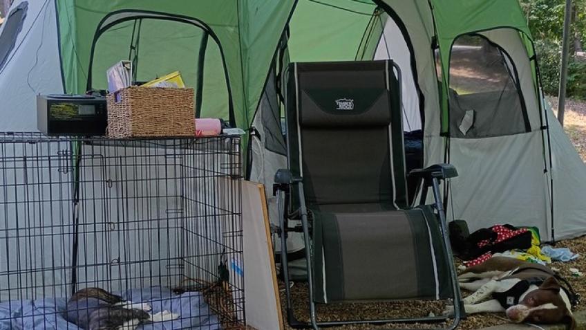 Urgent Help Needed: Shelter and Food for family