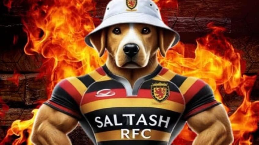 Saltash RFC Pitch improvements