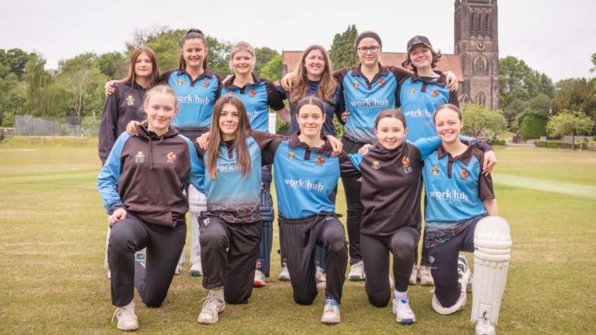 HCC Community Nets and Back Pitch improvements