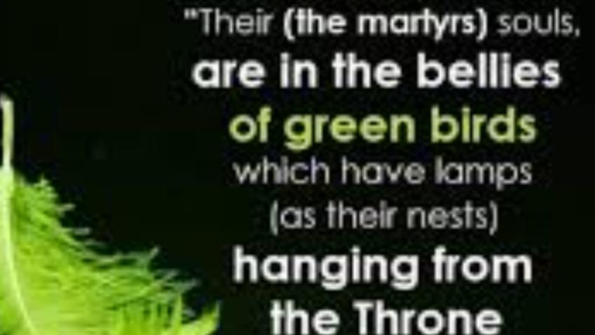 In The Soul Of The Green Bird - Nafs Osfur Akhdar♥