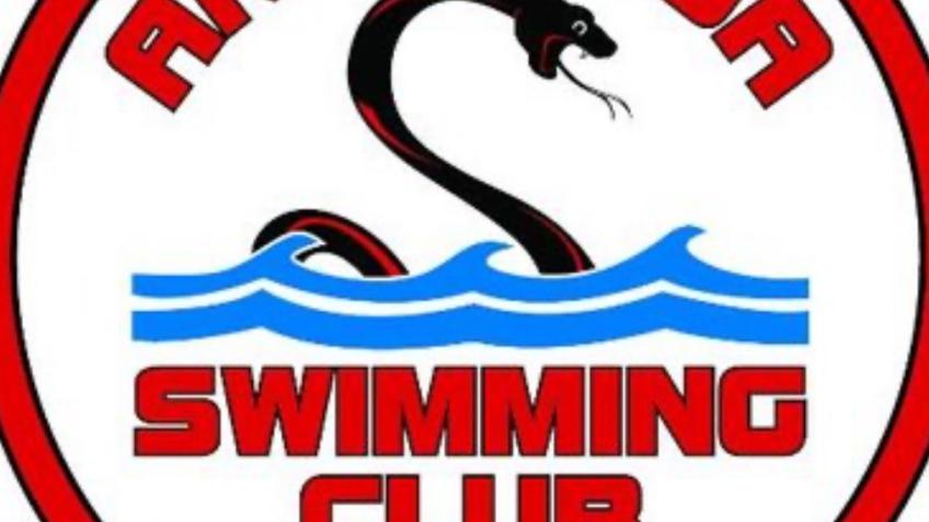 Catalina swimming challenge