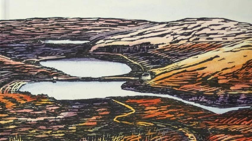 Protecting Peat: our fight goes international!