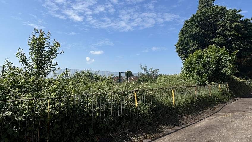 Much Needed Fencing for Forest School Site