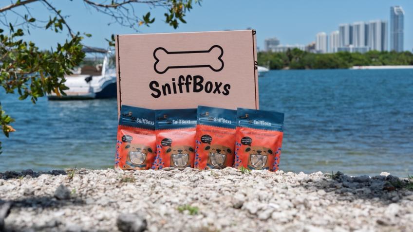 SniffBoxs