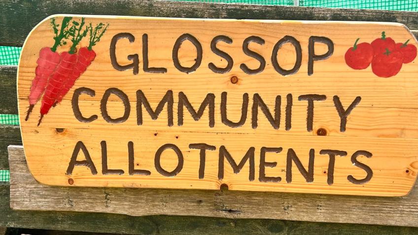 Help our allotment got broken into!