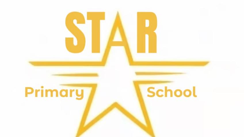 Star Play Park