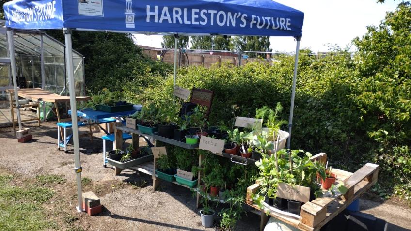 Compost for Harleston allotments