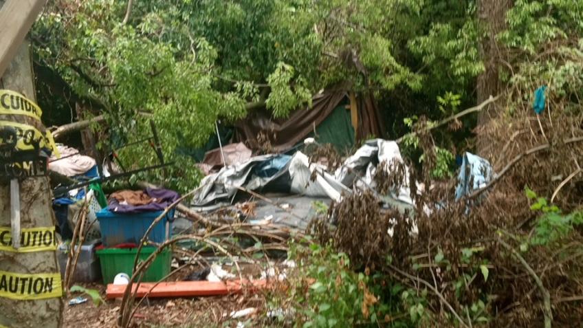 Trying to regroup tree fell on tent 3 days ago