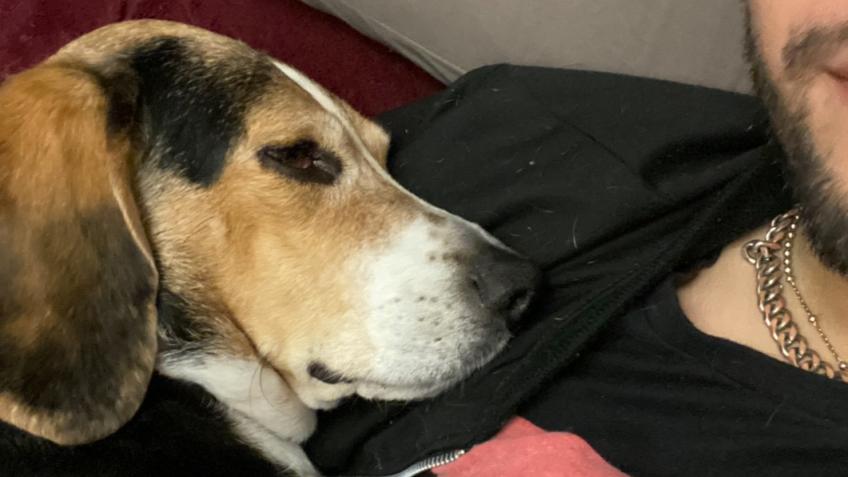 Ruby needs your help