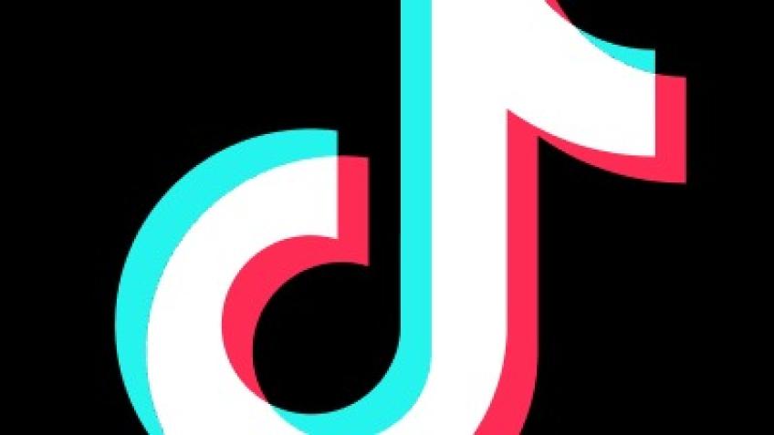 Public Crowdfunding & Acquisition of TikTok