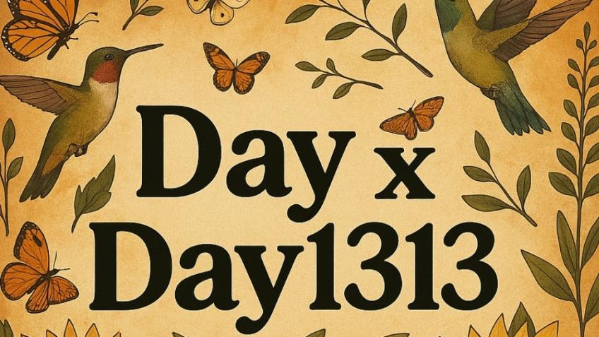 DayxDay