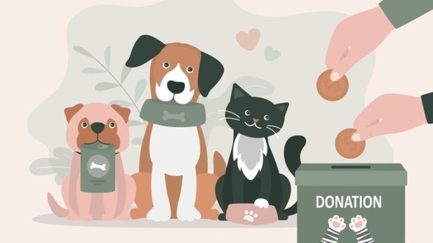 For animals