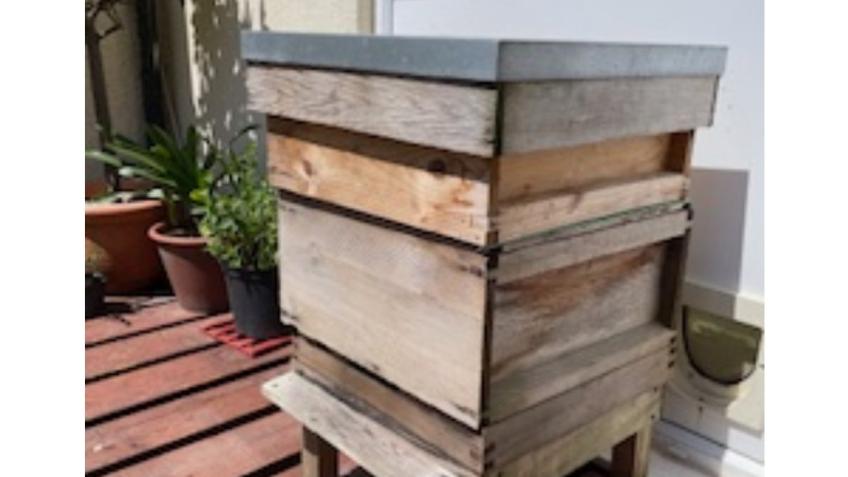 Beehive for Park Street Orchard
