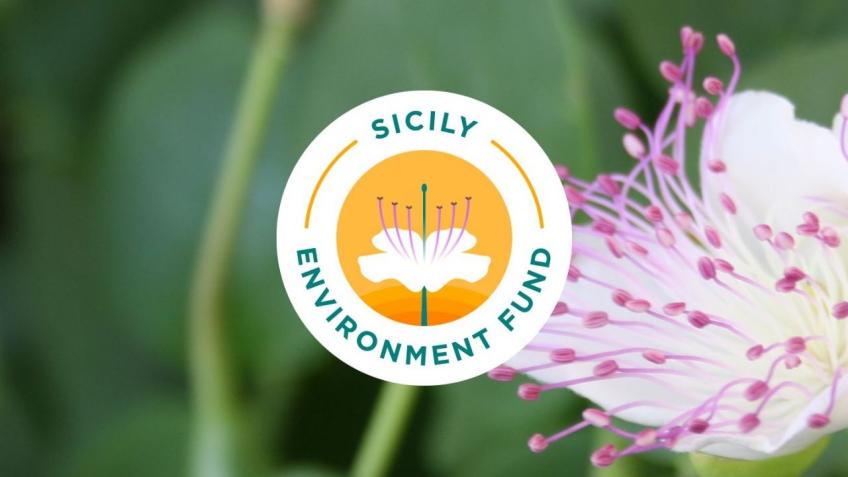Support Sicily Environment Fund