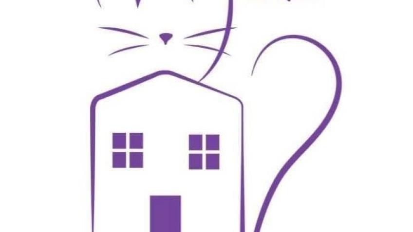 Henry’s Haven ( cat trap)