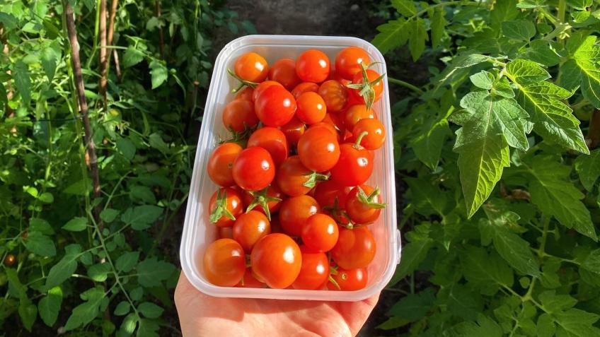 Help to Nourish our Community