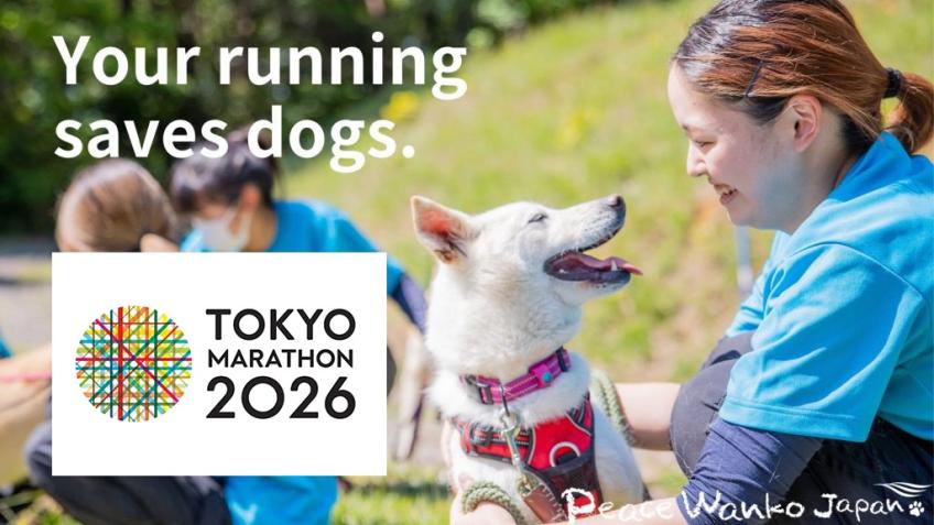 TOKYO MARATHON - Peace Wanko Japan