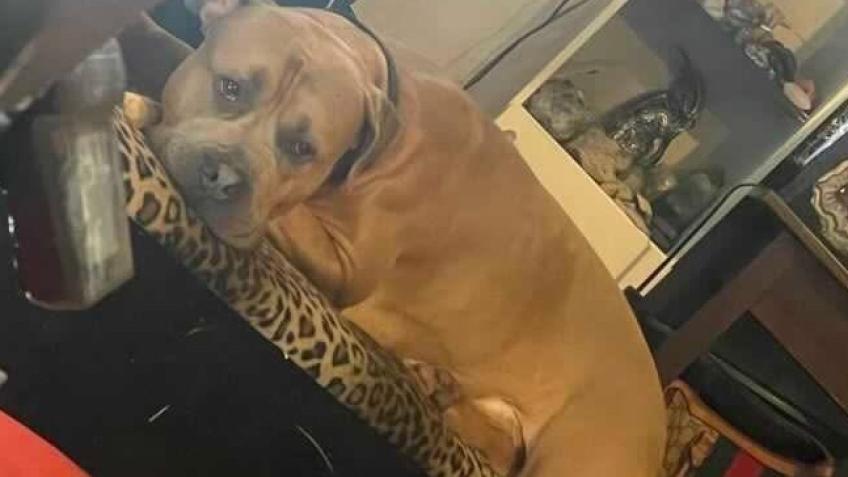 My best friend I can’t lose him he’s everything2me