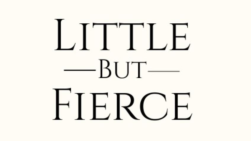 Little but Fierce - creating a brand that fits!