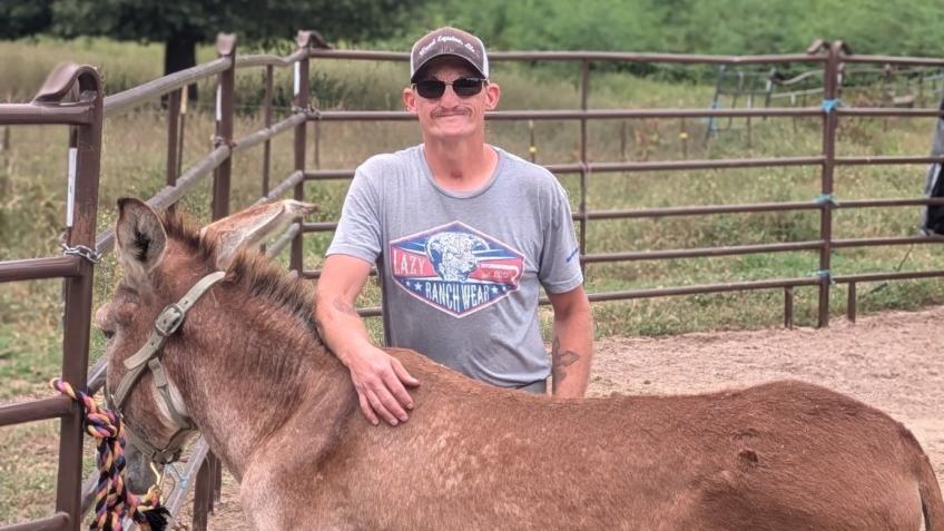 Cryo therapy for Equine