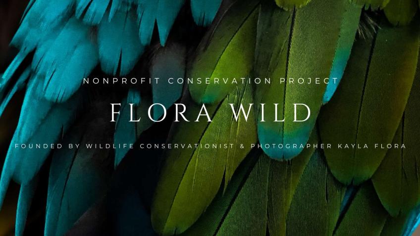 Flora Wild