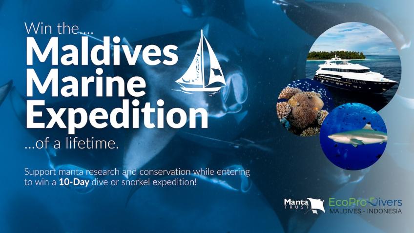 Maldives Expedition with a Manta Ray Expert