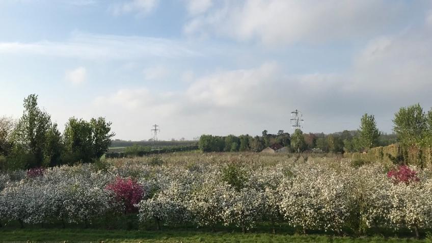 Residents Against Development of Ivy Farm Orchards