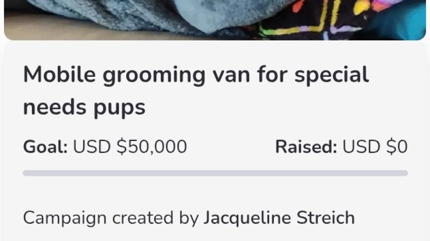 Mobile grooming van for special needs pups!!!