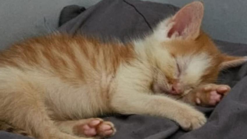 Help give Terry these best help we can give him