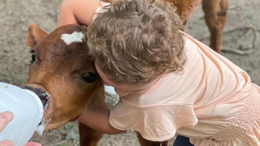 A Safe Home for My Daughter's Future