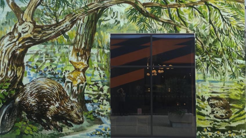 Help us to fund a Beaver Mural!