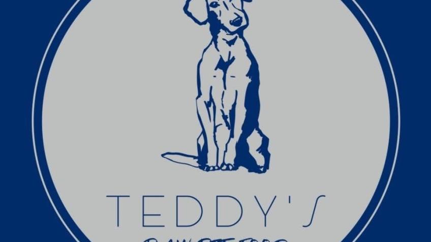 Save Teddy’s Raw Pet Food