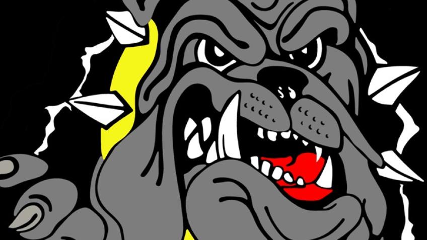 Bull-dogs senior inline hockey team