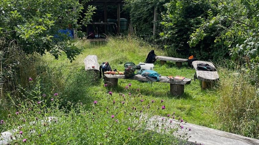 Community Orchard - Climate Action