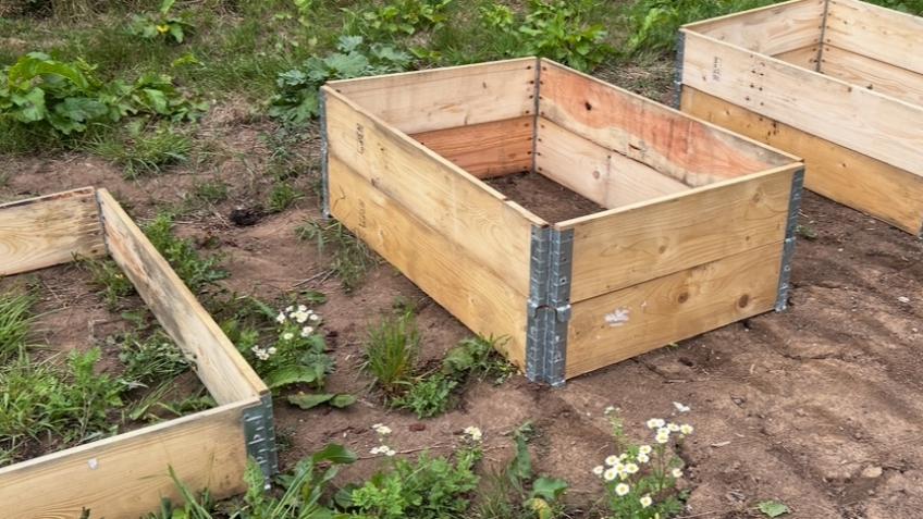 Whitby Community Allotment - raised beds