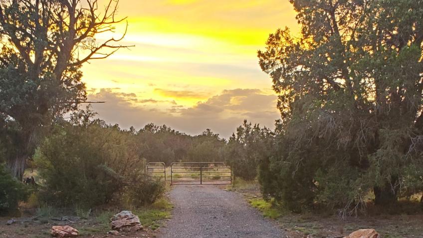 B-Rad Ranch small glamping