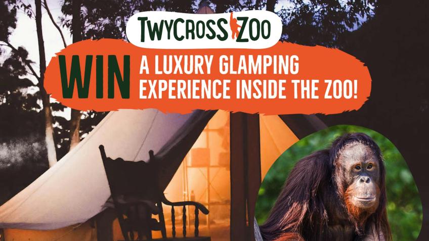 WIN: A luxury glamping experience inside the zoo!