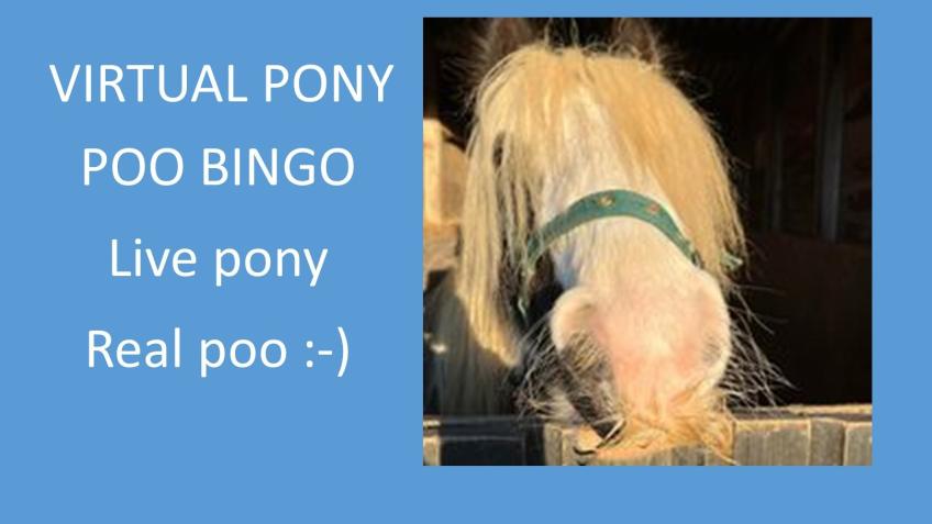 Virtual Pony Poo Bingo