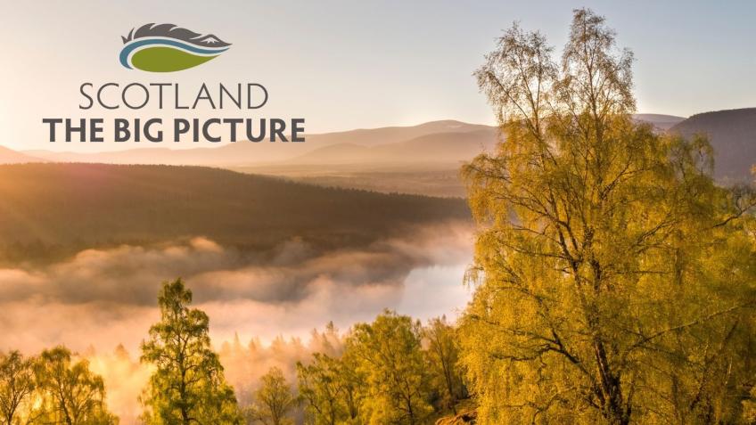 Making rewilding happen across Scotland