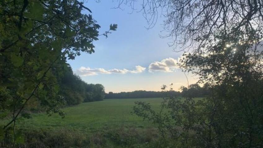 The Heart of Radlett Beats Green