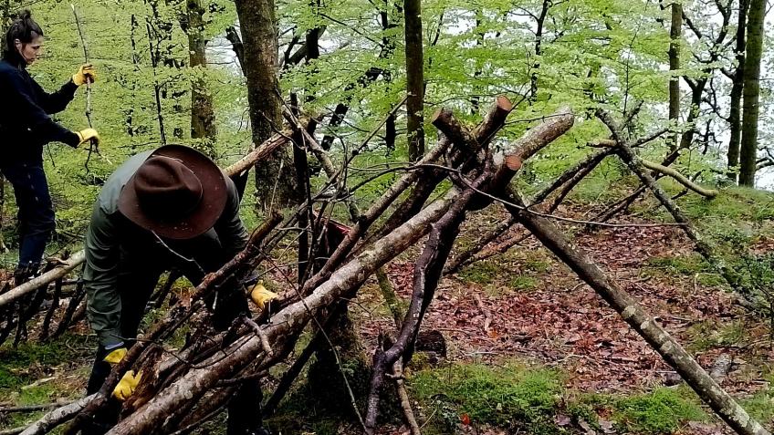 24-Hour Wilderness Survival Challenge