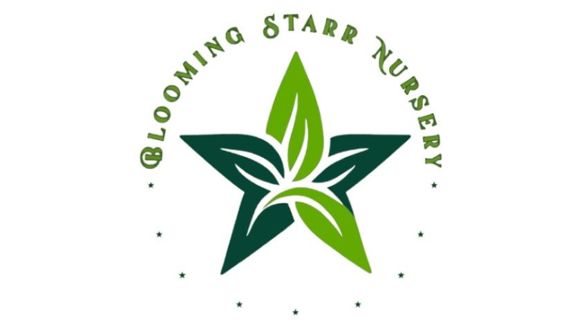 You Can Help Blooming Starr Shine!