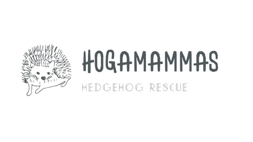 Hogamammas Hedgehog Rescue South Lanarkshire