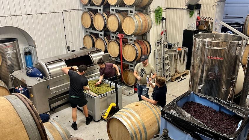 Blackbook Winery 2025