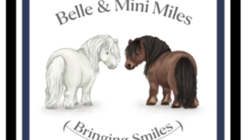Desperately needing transport for therapy ponies