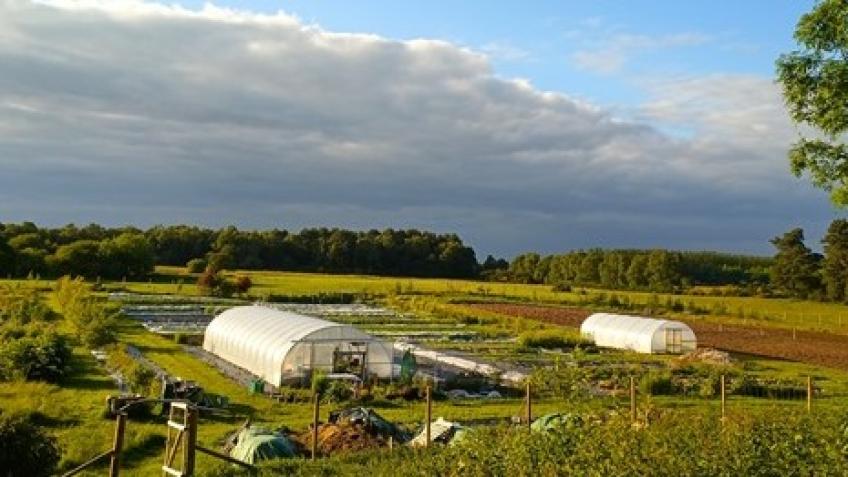 Mandala Garden Project - Additional Polytunnel